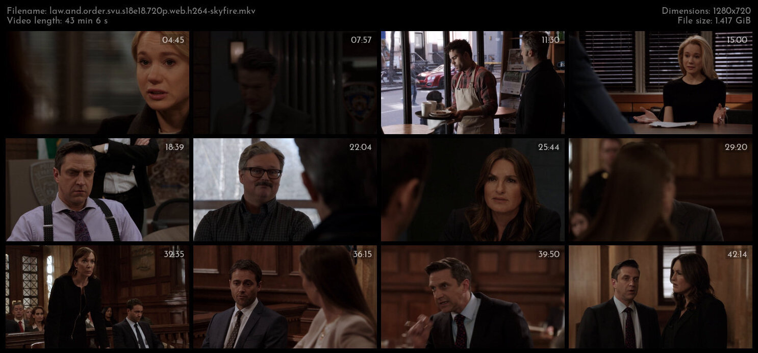 Law And Order SVU S18E18 720p WEB H264 SKYFiRE TGx