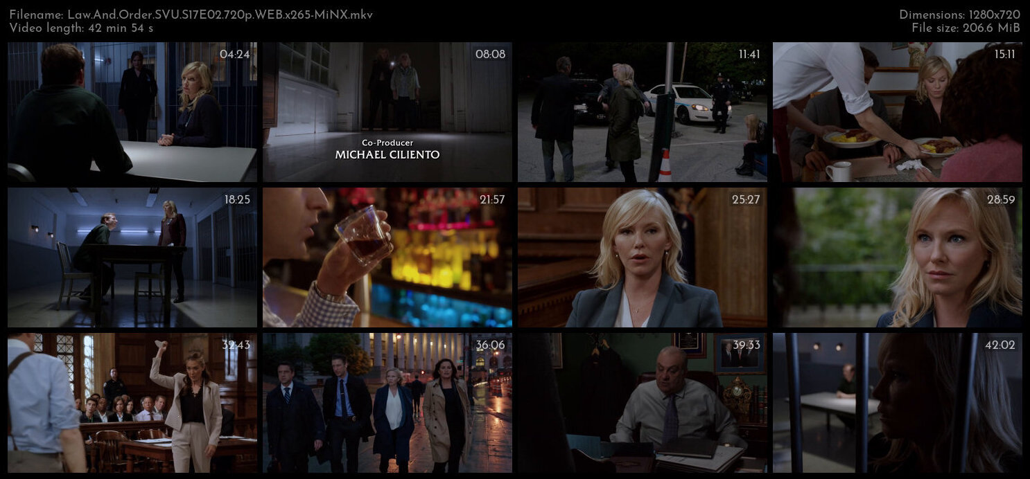 Law And Order SVU S17E02 720p WEB x265 MiNX TGx