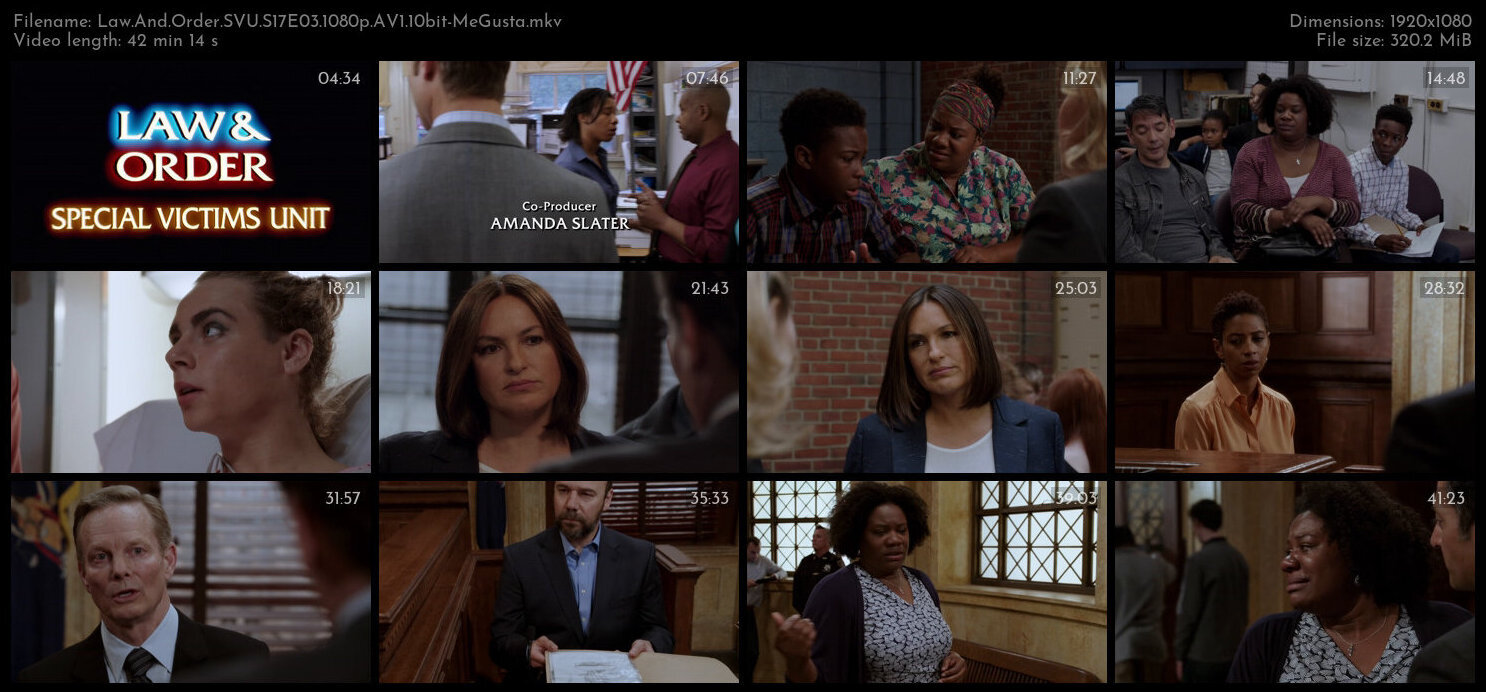 Law And Order SVU S17E03 1080p AV1 10bit MeGusta TGx