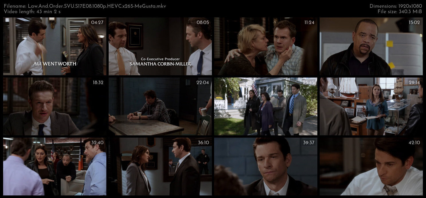 Law And Order SVU S17E08 1080p HEVC x265 MeGusta TGx