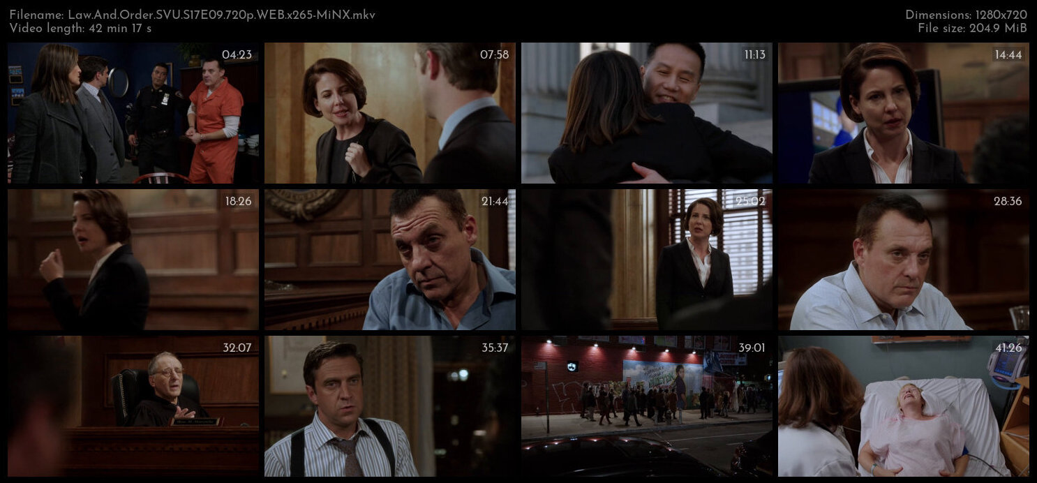 Law And Order SVU S17E09 720p WEB x265 MiNX TGx