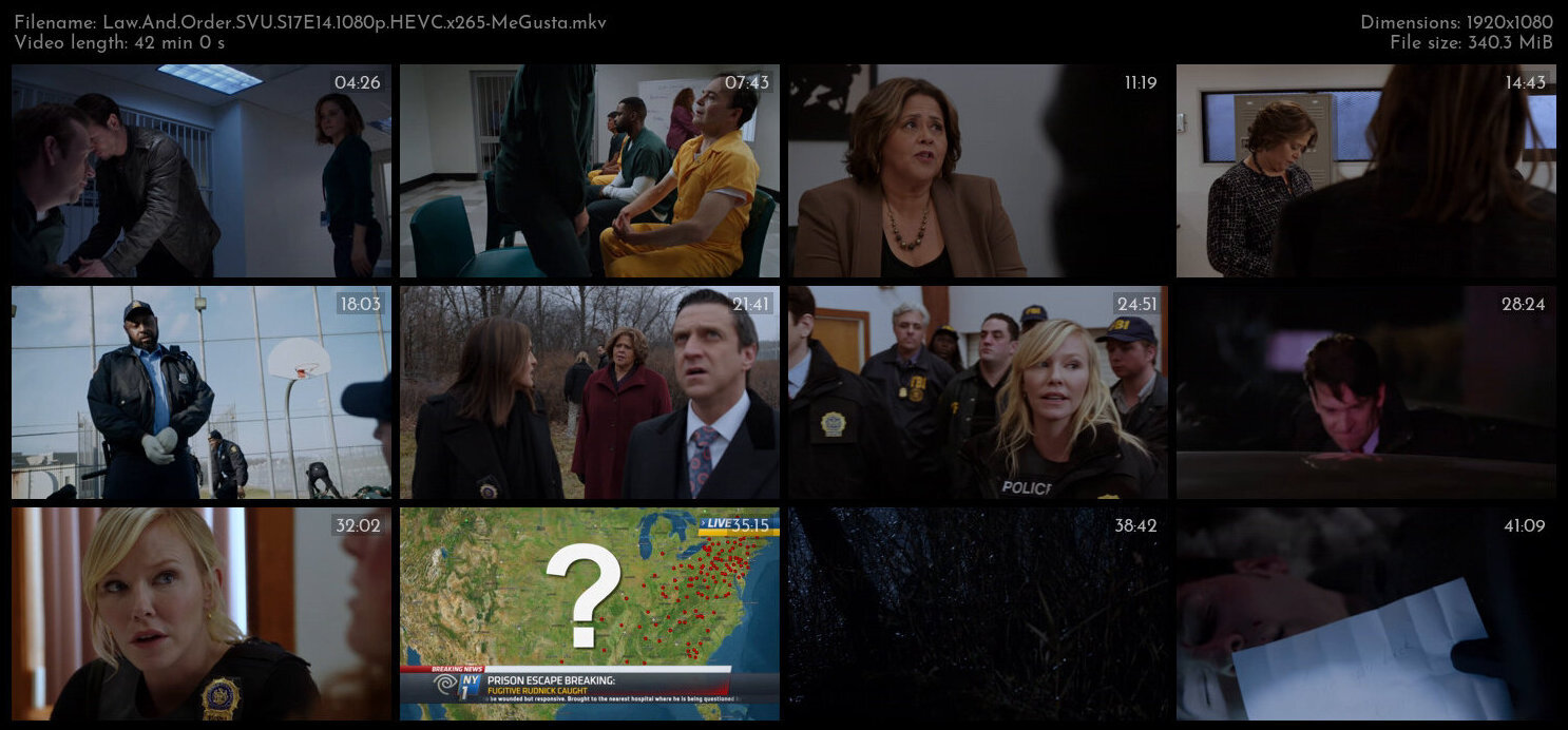 Law And Order SVU S17E14 1080p HEVC x265 MeGusta TGx