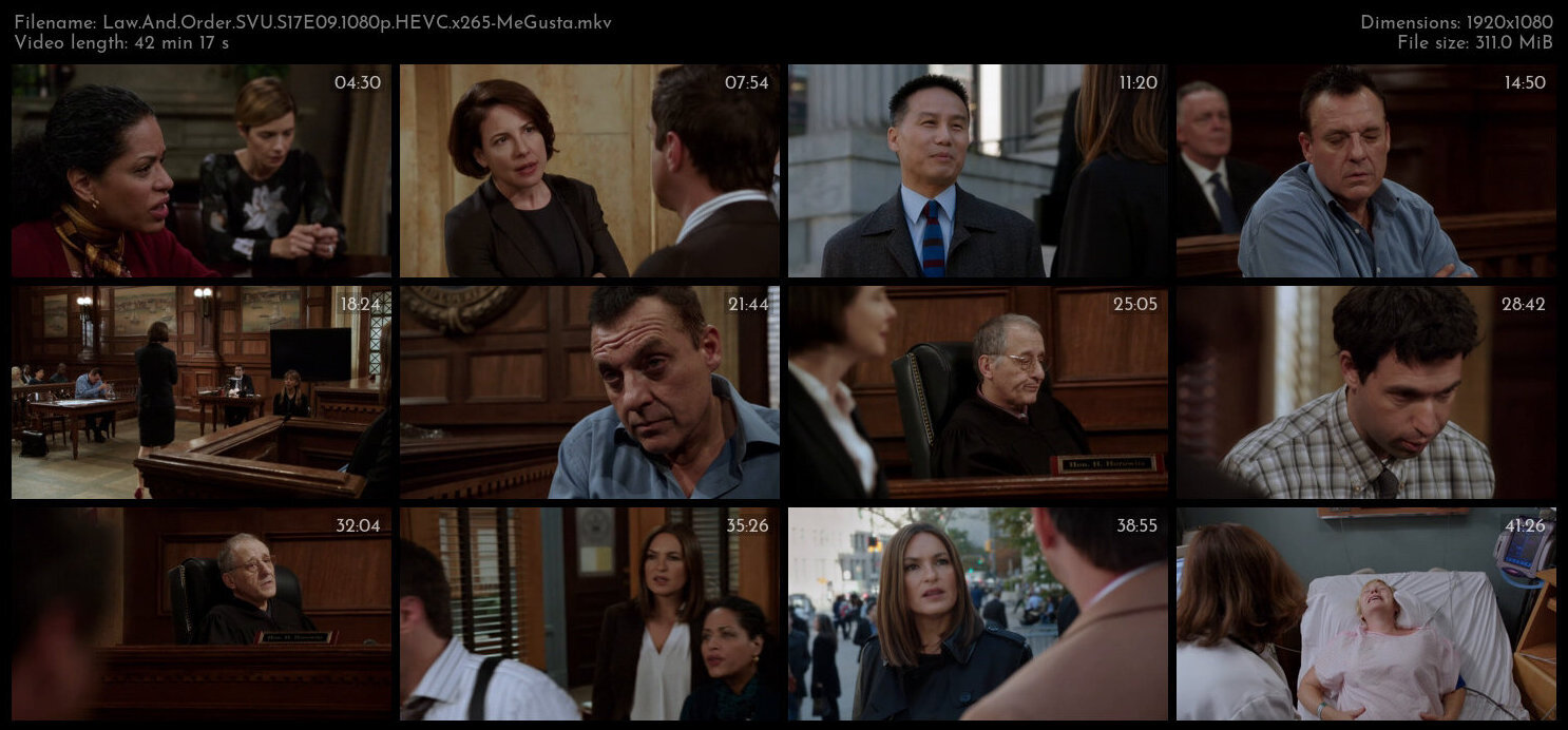 Law And Order SVU S17E09 1080p HEVC x265 MeGusta TGx