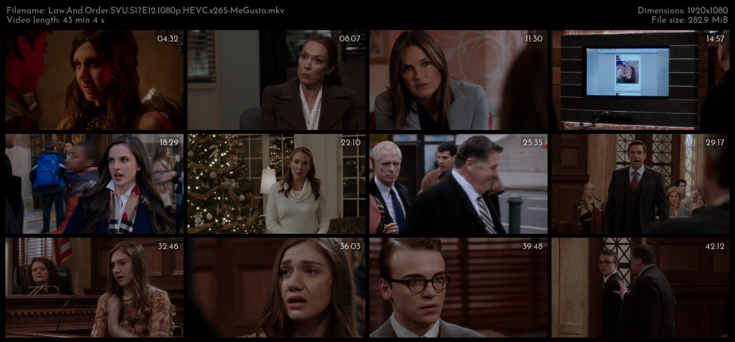 Law And Order SVU S17E12 1080p HEVC x265 MeGusta TGx