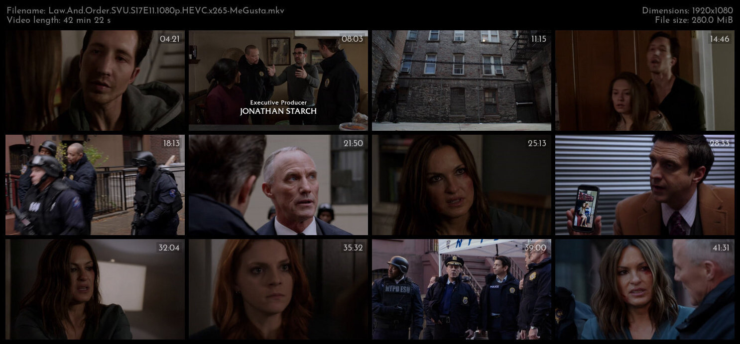 Law And Order SVU S17E11 1080p HEVC x265 MeGusta TGx