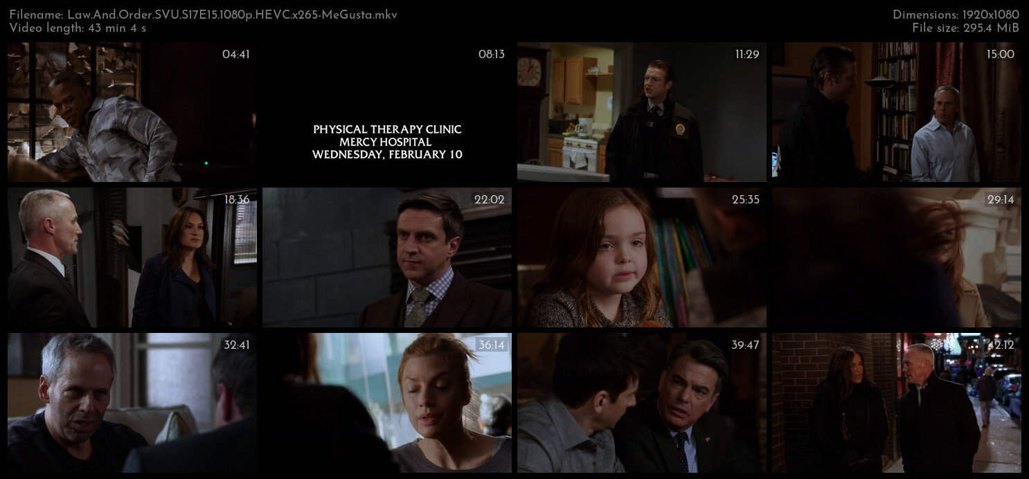 Law And Order SVU S17E15 1080p HEVC x265 MeGusta TGx