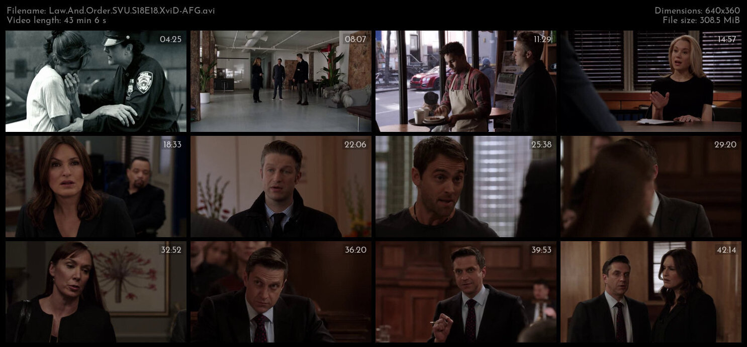 Law And Order SVU S18E18 XviD AFG TGx