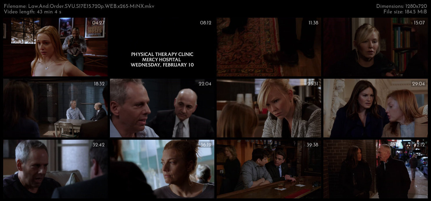 Law And Order SVU S17E15 720p WEB x265 MiNX TGx