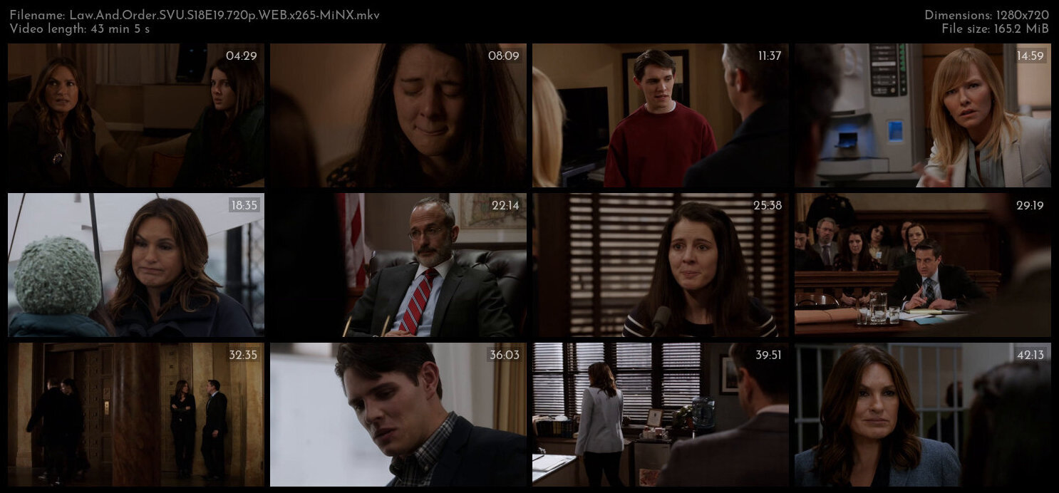 Law And Order SVU S18E19 720p WEB x265 MiNX TGx