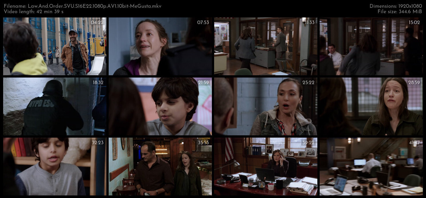 Law And Order SVU S16E22 1080p AV1 10bit MeGusta TGx