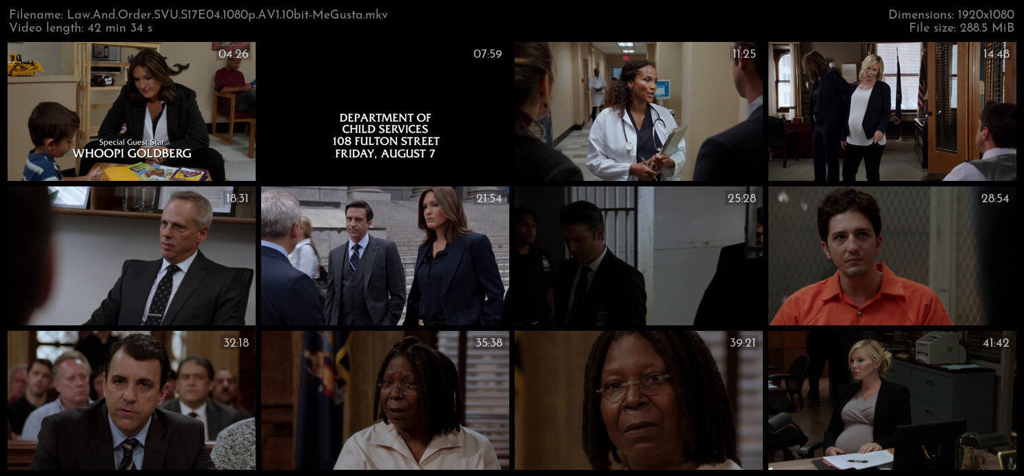 Law And Order SVU S17E04 1080p AV1 10bit MeGusta TGx