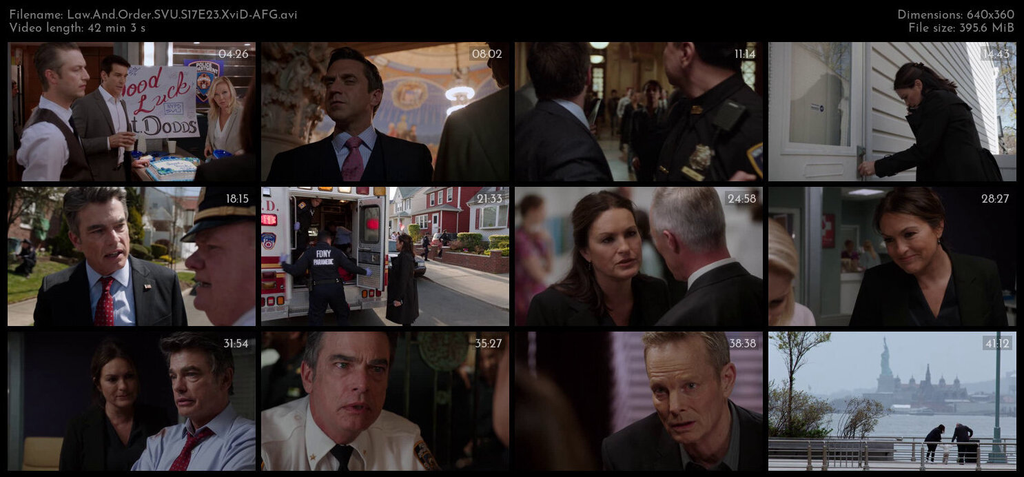 Law And Order SVU S17E23 XviD AFG TGx