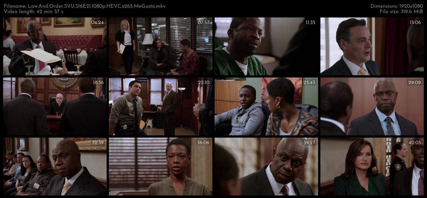 Law And Order SVU S16E21 1080p HEVC x265 MeGusta TGx