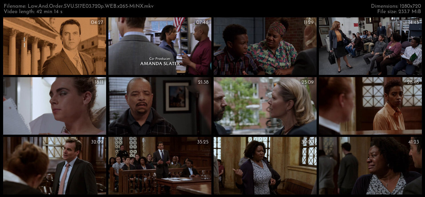 Law And Order SVU S17E03 720p WEB x265 MiNX TGx