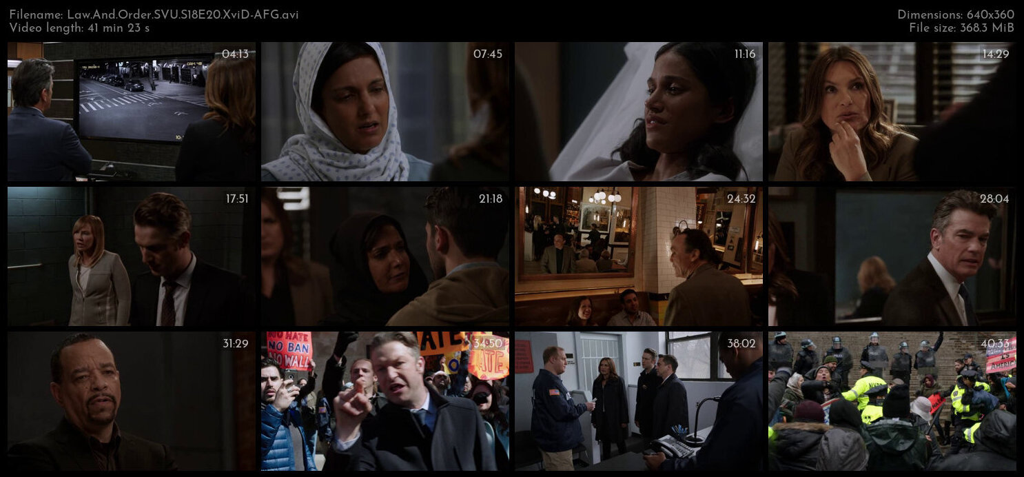 Law And Order SVU S18E20 XviD AFG TGx