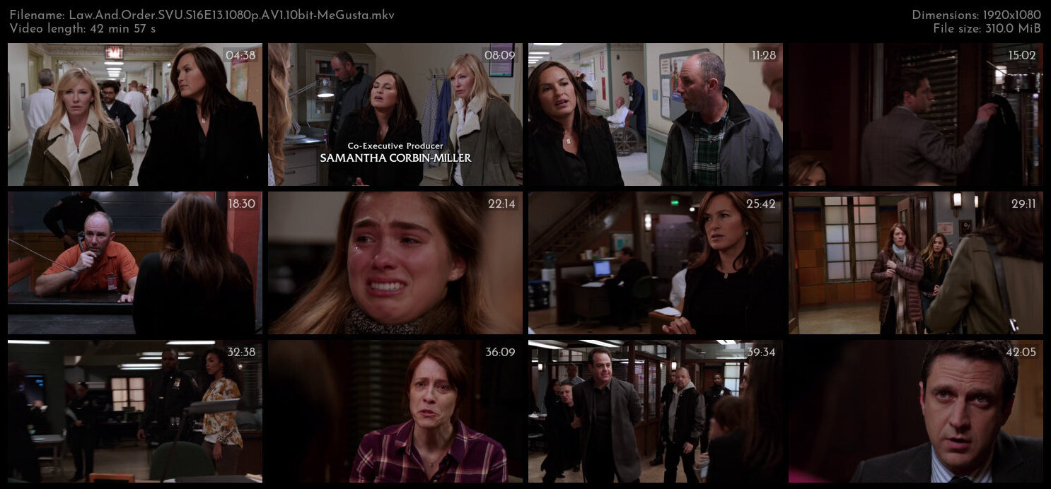 Law And Order SVU S16E13 1080p AV1 10bit MeGusta TGx